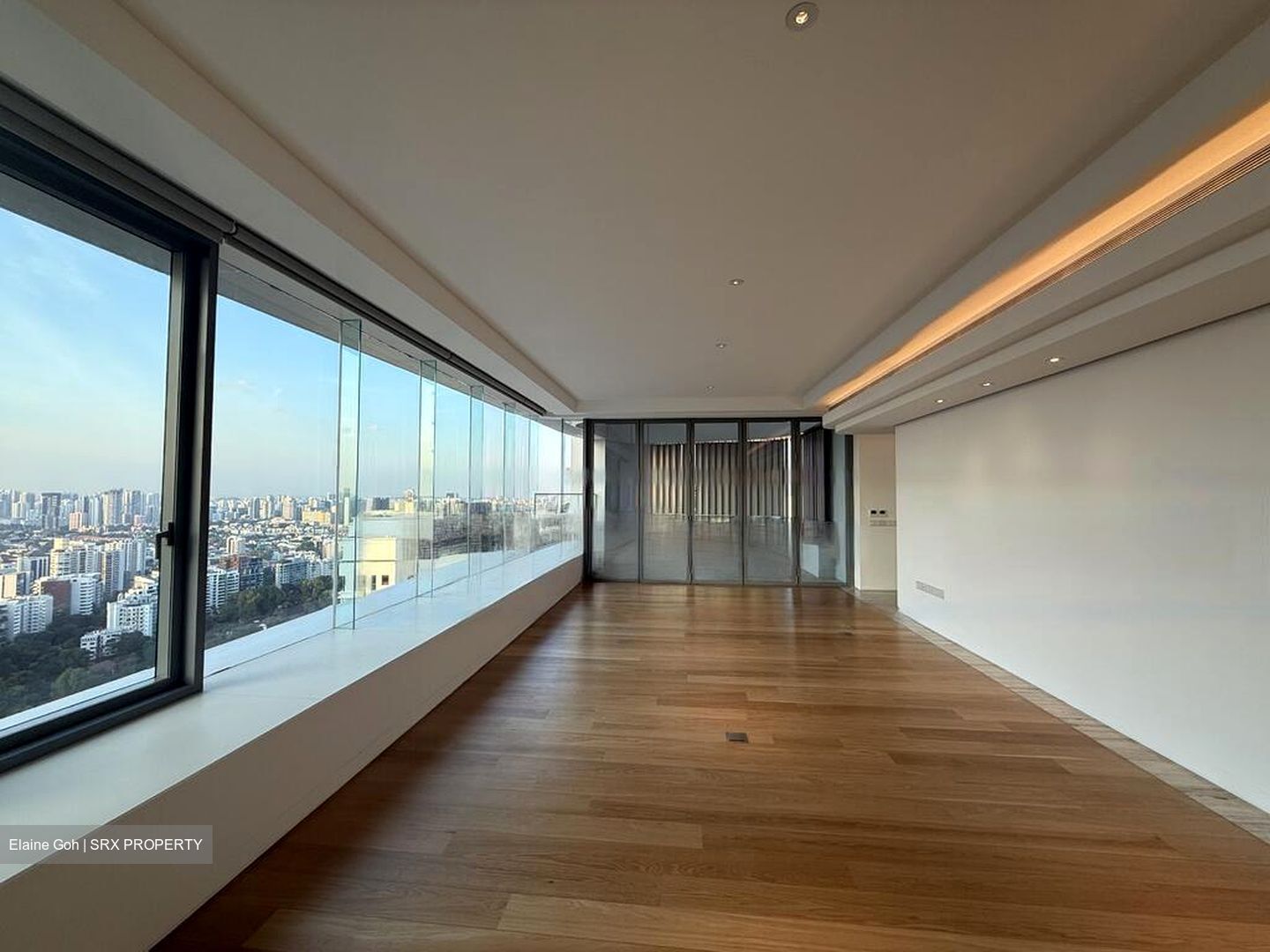 Ardmore Residence (D10), Condominium #487515371